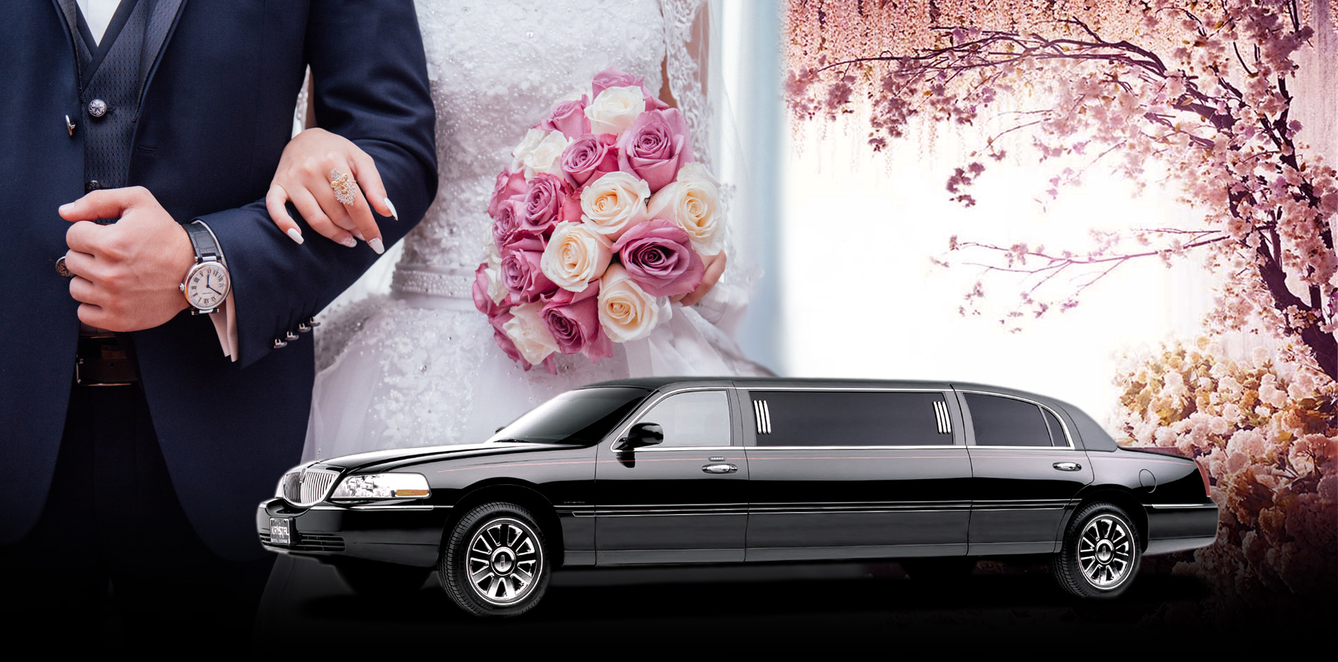 Bay Area limousine